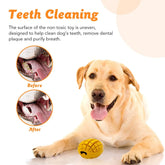 PetBuds Indestructible Mango Shaped Rubber Dog Chew Toys